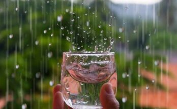Manfaat Air Hujan